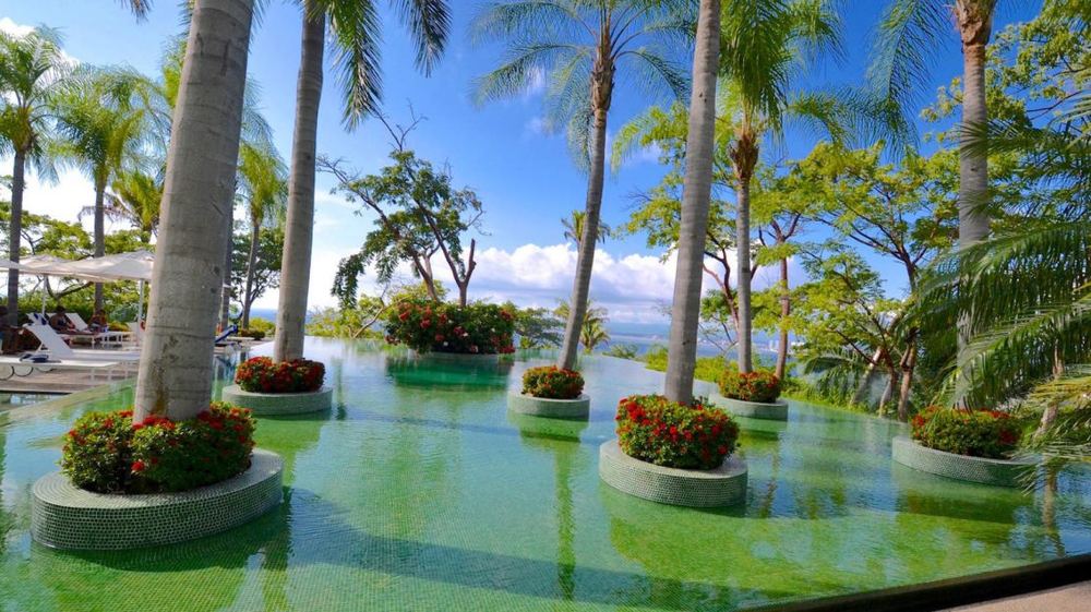 Pool surrounded by tropical gardens