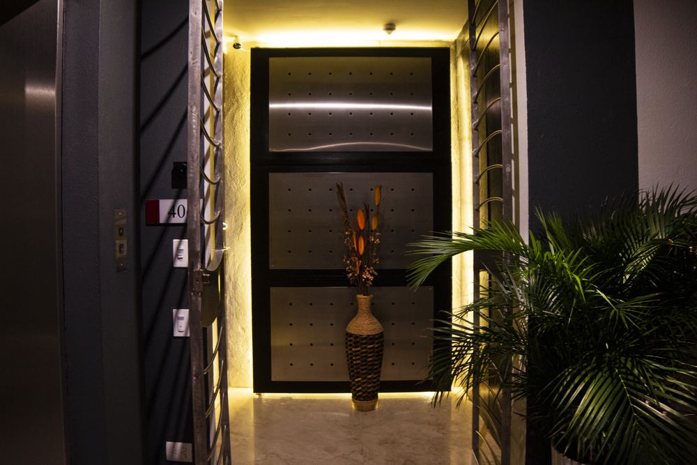 Illuminated entry door