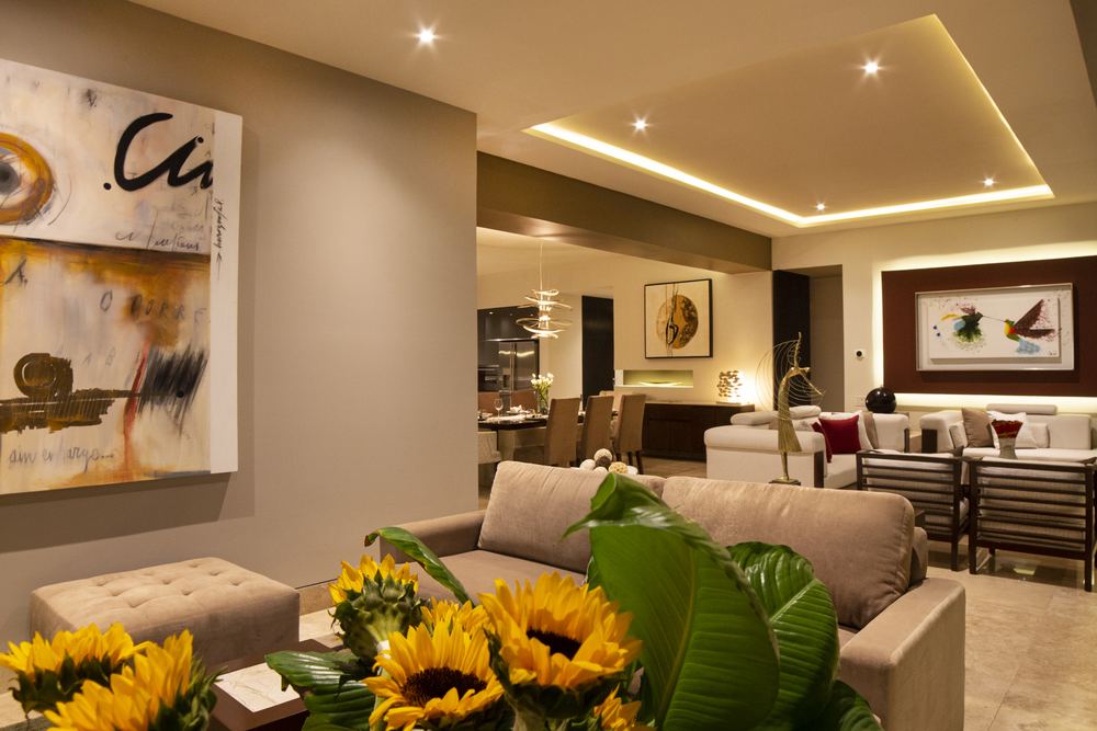 Family room and living area